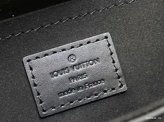 WIS VUITTON LOUIS Camera Canvas Monogram Box 0429